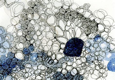 Cells Drawing At Getdrawings Free Download