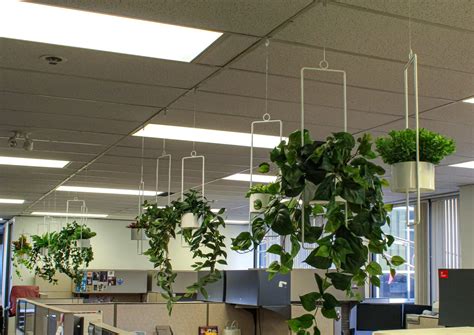 Hanging Cubicle Planters Office Building Greenscape Design And Decor