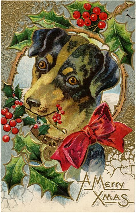 Vintage Christmas Dog Freebie Cute The Graphics Fairy