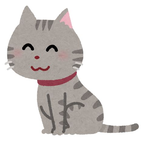 ねこレンタル 月額380円の ねこホーダイ 開始 Sns 猫を貸し借り。意味がわからない 情報てんこもりチャンネル