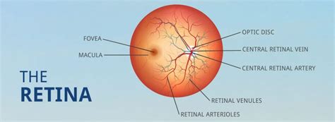 The Retina Arizona Retina Associates