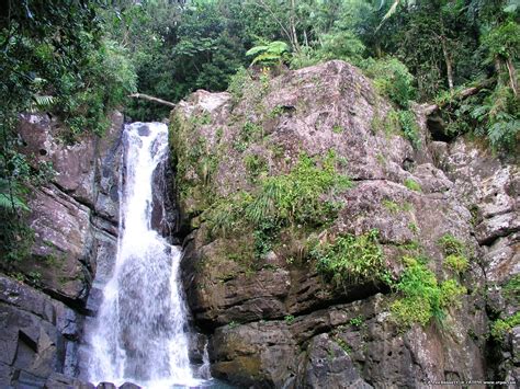El Yunque Te Amo Tanto El Yunque Waterfall Puerto Rico El Yunque