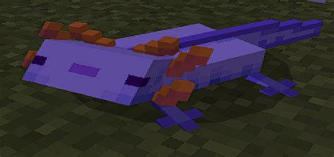 Better Axolotls 3d Details Minecraft Addon Texture
