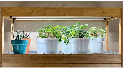Diy Led Grow Lights For Indoor Plants