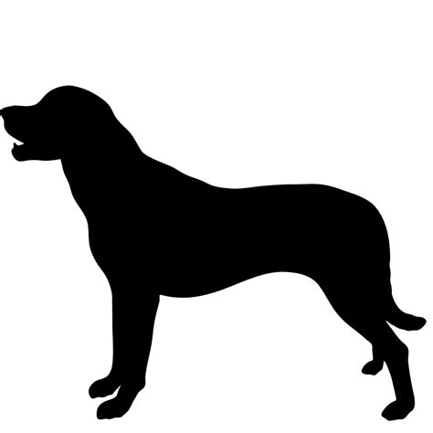 Labrador Retriever Arabian Horse Dog Breed Sticker Decal Umbrella