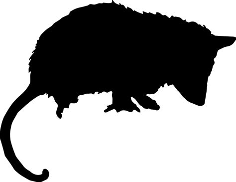 Download Opossum Mammal Animal Silhouette Svg Png Icon Free Download (#73412) - OnlineWebFonts.COM