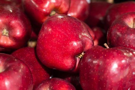 Doces maçãs vermelhas maduras em pilha fresca download Designi
