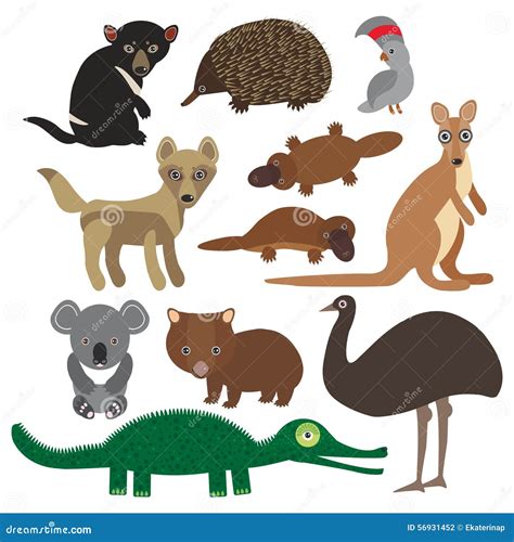 Animals From Australia Collection Vector Silhouette Australian Map