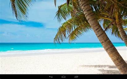 Beach Relaxing Google Screenshot Wallpapersafari