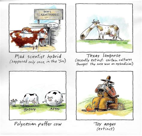 Pin By Mark Hirst On Far Side Far Side Cartoons Cow Toys The Far Side