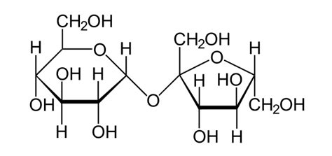 Difference Between Monosaccharides Disaccharides And