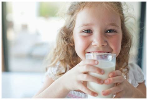 Study Shows Europeans Developed Ability To Tolerate Milk Thousands Of Years Later Science