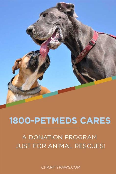 Animal Rescue Fundraising And Grant Opportunities From 1800 Petmed Can