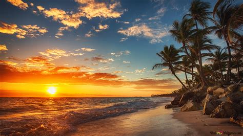 Tropski Zalazak Sunca I Palme Na Morskoj Pla I K Preuzimanje Pozadine