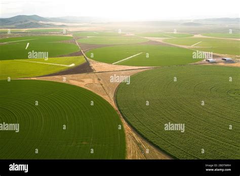 Green Crop Circles Grow In A Remove Nevada Desert Stock Photo Alamy