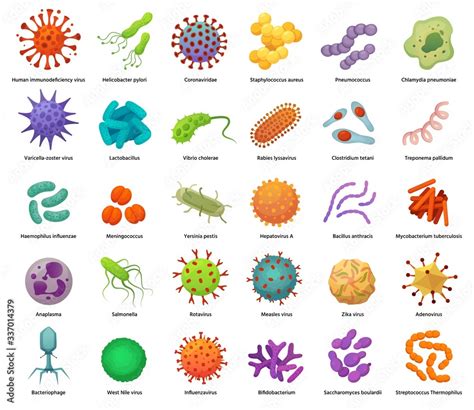 Vetor De Bacteria And Virus Icons Disease Causing Bacterias Viruses