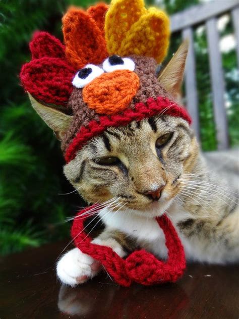 59 Best Thanksgiving Cats Images On Pinterest Happy Thanksgiving