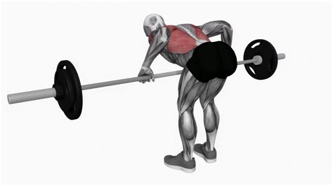 Barbell Pendlay Row Fitness Exercise Workout Animation Video Male