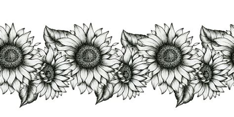 Black And White Sunflowers Seamless Border Realistic Wildflowers