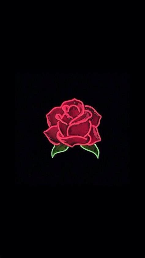 Black Rose Neon Signs Iphone Wallpaper Color Of Life