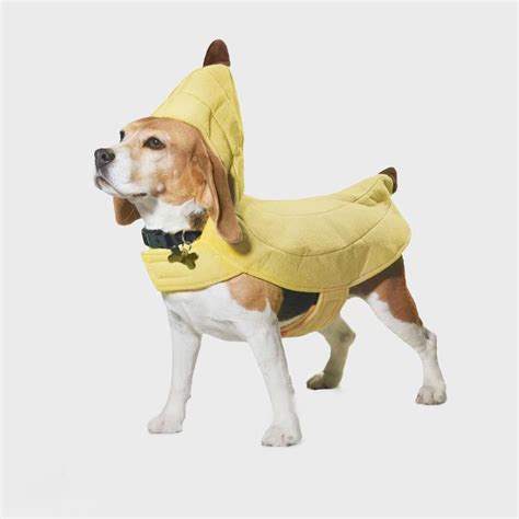 40 Best Dog Halloween Costumes Dog Halloween Costume Ideas 2022