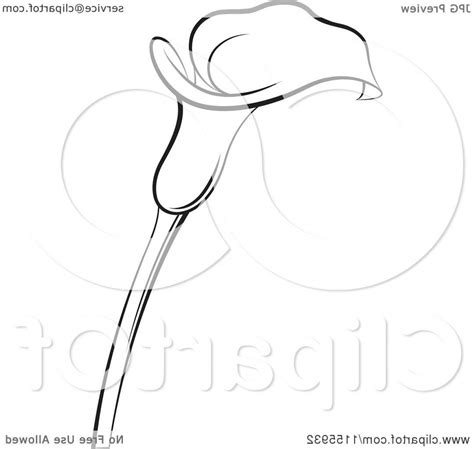 lily of the valley flower drawing at explore collection of lily of the