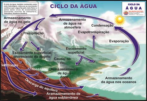 Ciclo Da Água • Bia Mapas