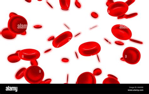 Red Blood Cells 3d Render Stock Photo Alamy