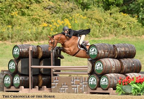 Eventing Horses Dressage Horse Jumping Show Jumping Hunter Horse