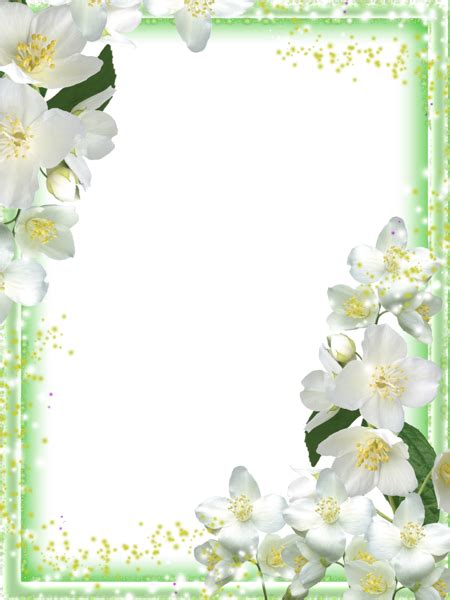 Transparent Green Flowers Frame | Flower frame, Green flowers, Flowers
