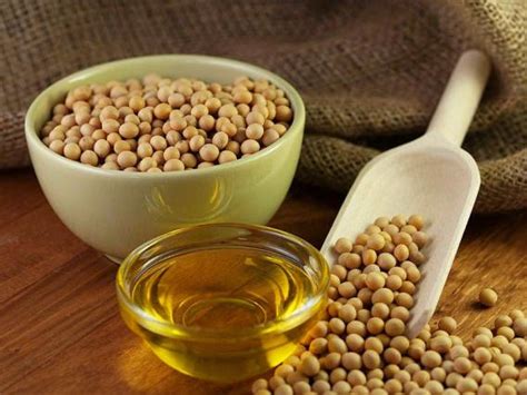 Check spelling or type a new query. Foods High in Calcium (Rich Source of Calcium)