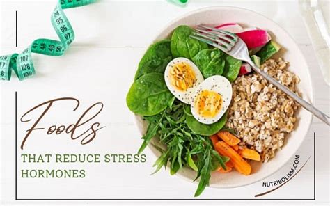 6 Foods That Reduce Stress Hormones Regulate Cortisol Level