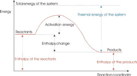 .the activation energy of the reverse reaction is just the difference in energy between the product(s) (right) and the transition state (hill). Purpose & Theory - Kinetics of a Reaction