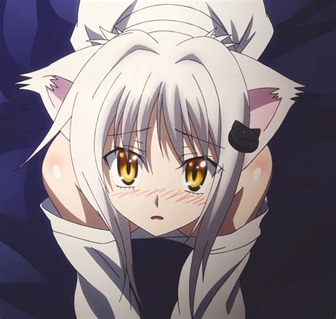 Top 15 Cute Anime Cat Girls Whos Your Favourite Zenmarket