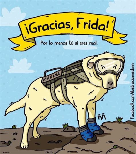 Frida La Perrita Rescatista México 2017 Dibujo De Perro Amor