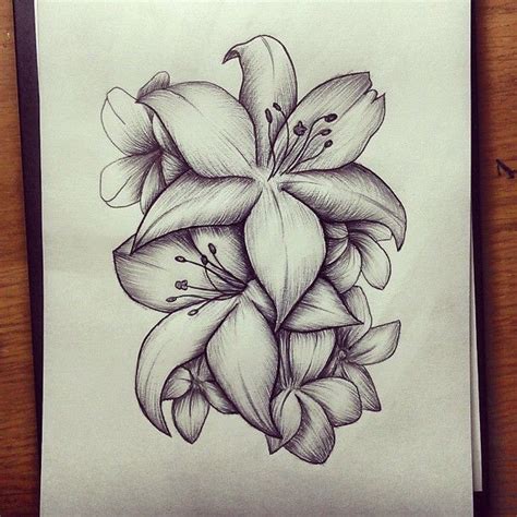 Lilly Flower Tattoo Lilly Tattoo Design Flower Tattoo Drawings