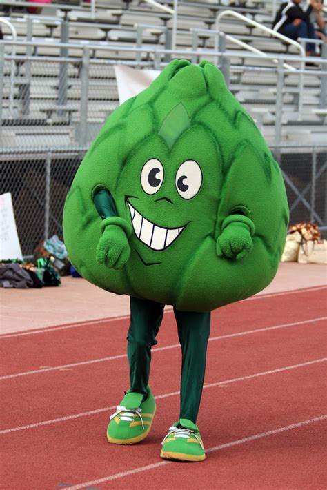 The Top 10 Most Absurd Mascots In America 2 Universityprimetime