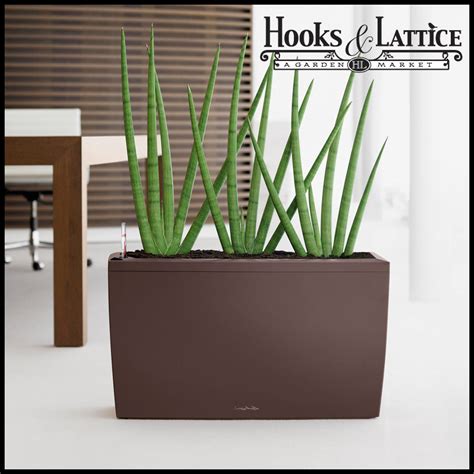 Modern Indoor Planters And Self Watering Indoor Planters