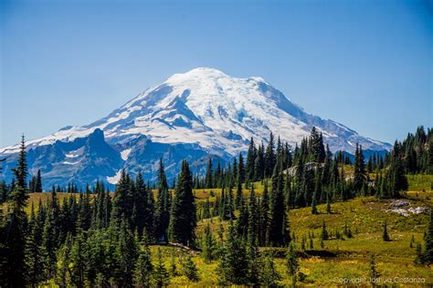 Mt Rainier National Park Washington State