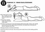 Photos of Exercises Strengthen Lower Back