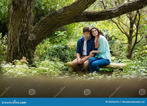 Romantic Couple Sitting On Bench In Garden Stock Photo Image Of