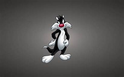 Looney Tunes Cartoon Awesome Backgrounds Wallpapers Desktop