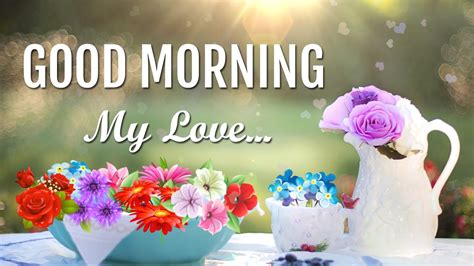 Every morning is a joy because it is another chance to see your lovely smile, your penetrating eyes and your sweet lips. Good Morning Love image, message, sms, gif, sayings ...