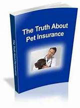 Photos of Pet Insurance Information