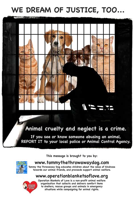 Anti Cruelty Campaign Animal Cruelty Operation Blankets Of Love