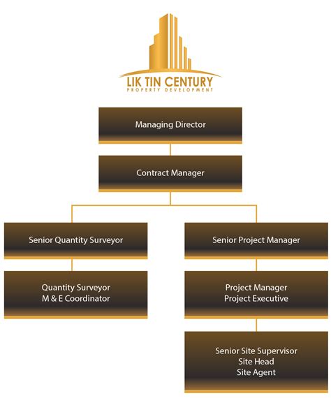 Lik Tin Century Sdn Bhd A Property Developer Cum Construction Company