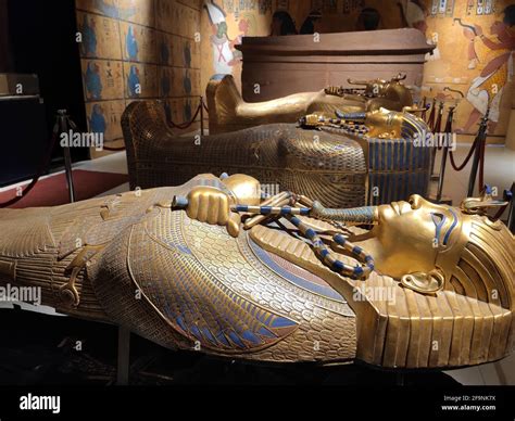 Museum Dedicated To Tutankhamun In Cairo Egypt The Ancient Egyptian