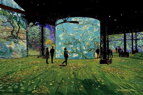 São Paulo ganha exposição que permite entrar nas obras de Van Gogh