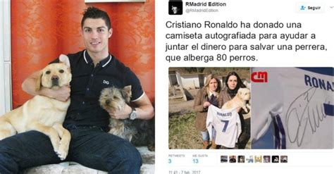 Cristiano Ronaldo Es Un Héroe Y Salva A 80 Perritos
