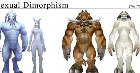Sexual Dimorphism In World Of Warcraft Wired